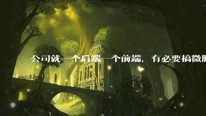 公司就一个后端一个前端，有必要搞微服务吗？