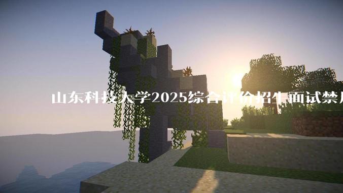山东科技大学2025综合评价招生面试禁用红米手机考试，工作人员回应称「属实」，原因可能是什么？