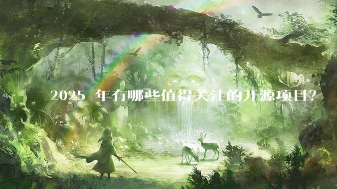 2025 年有哪些值得关注的开源项目？